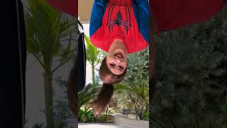 My Stepmother is a Superhero Profile