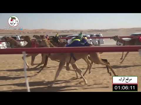 الشوط 9 متعبه لـ مسلم محمد طرشوم العامري 1 48 شارة الصندوق 2021 1 30 سيح صبرة فطامين 