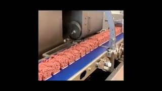 Minced meat high speed portioning From Vemag