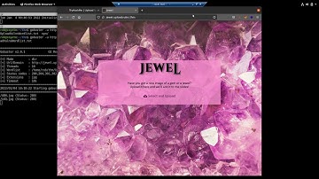 TryHackMe Absolute Beginner: Upload Vulnerabilities Challenge 11
