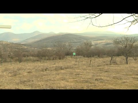 საოკუპაციო ხაზი გუგუთიანთკართან იზრდება