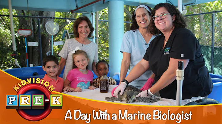 A Day With Marine Biologists | Virtual Field Trip | KidVision Pre-K