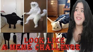 Tik Tok LOOK-A-LIKE Meme Challenge \\\\ LOOK-A-LIKE COMPILATION