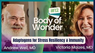 Adaptogens for Stress Resiliency & Immunity With Dr. Lise Alschuler | Body of Wonder Podcast