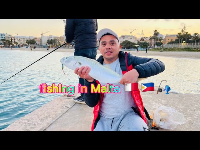 HOW MANY SPECIES CAN I CATCH IN MALTA?! 🎣 🐠 