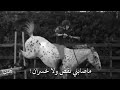 قل للذين تغيرو وتنكروا انا لا ابالي ان تبدل ودكم مع السلامه لكن من رحل 