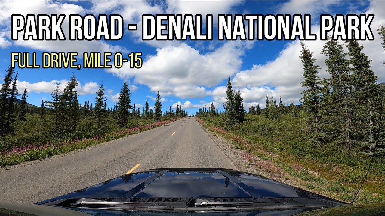 Denali Park Road Mile 0.0 to Mile15.0 Full Drive Denali National Park YouTube