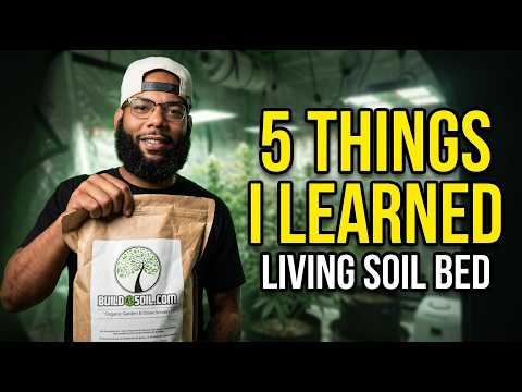 5 Runs. Zero Bottle Nutrients. What My Living Soil Bed Taught Me