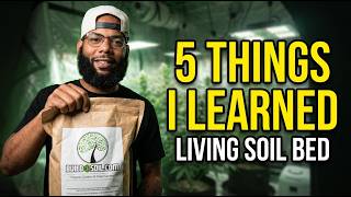 5 Runs. Zero Bottle Nutrients. What My Living Soil Bed Taught Me
