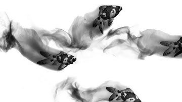 Turbulence FD Tutorial Preview: Ink/Smoke Trail