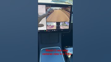 Tesla 3 rear view cameras  simultaneously. #Tesla #rearview #blindspot #ev #driving