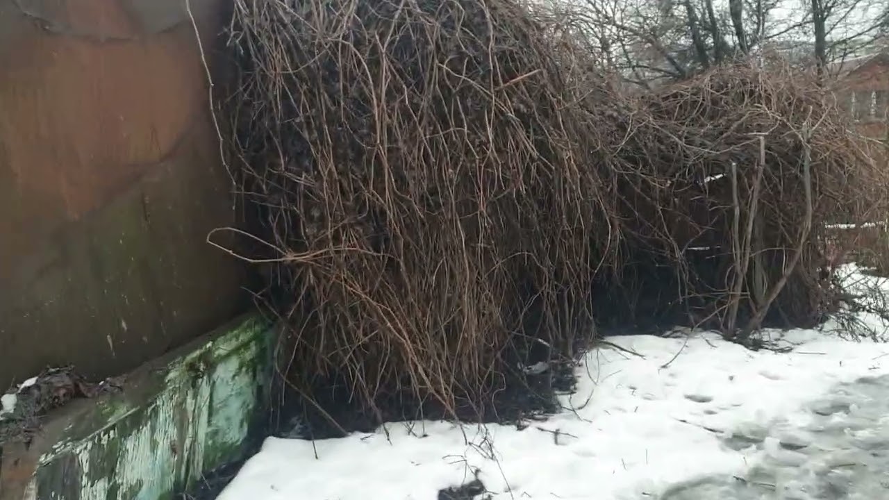 Напишите мне .ЧТО МНЕ ДЕЛАТЬ