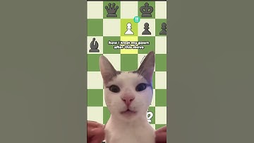 Cat Pawn Saves the Whole Game
