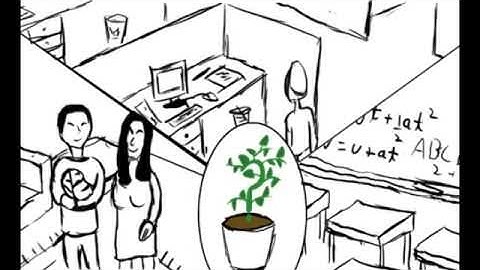 RSA animatic curiosity