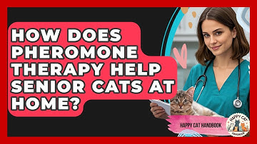 How Does Pheromone Therapy Help Senior Cats At Home? - Happy Cat Handbook