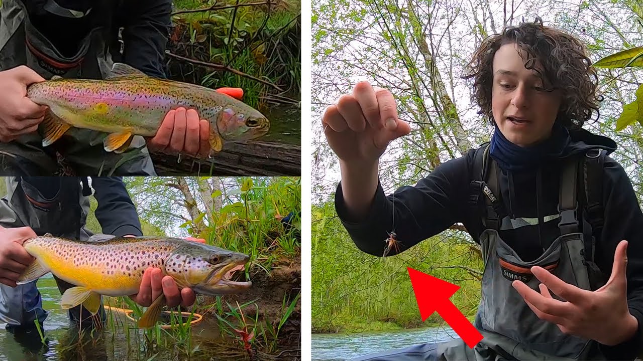 Twitch Jigs for Trout in Rivers - Tutorial 