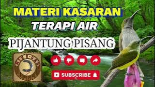PIJANTUNG GACOR   SUARA AIR MENGALIR || MATERI KASARAN || MURAI BATU CUCAK IJO