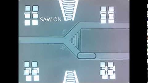 Microfluidic Plugs Steered with Surface Acoustic Waves