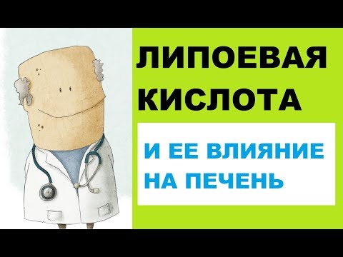 Липоевая кислота и ее влияние на печень