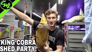 KING COBRA SHED PARTY!!!!