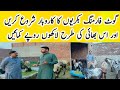 How to start  goat farming in shakargarh  punjab pakistan  apna mundhikhail