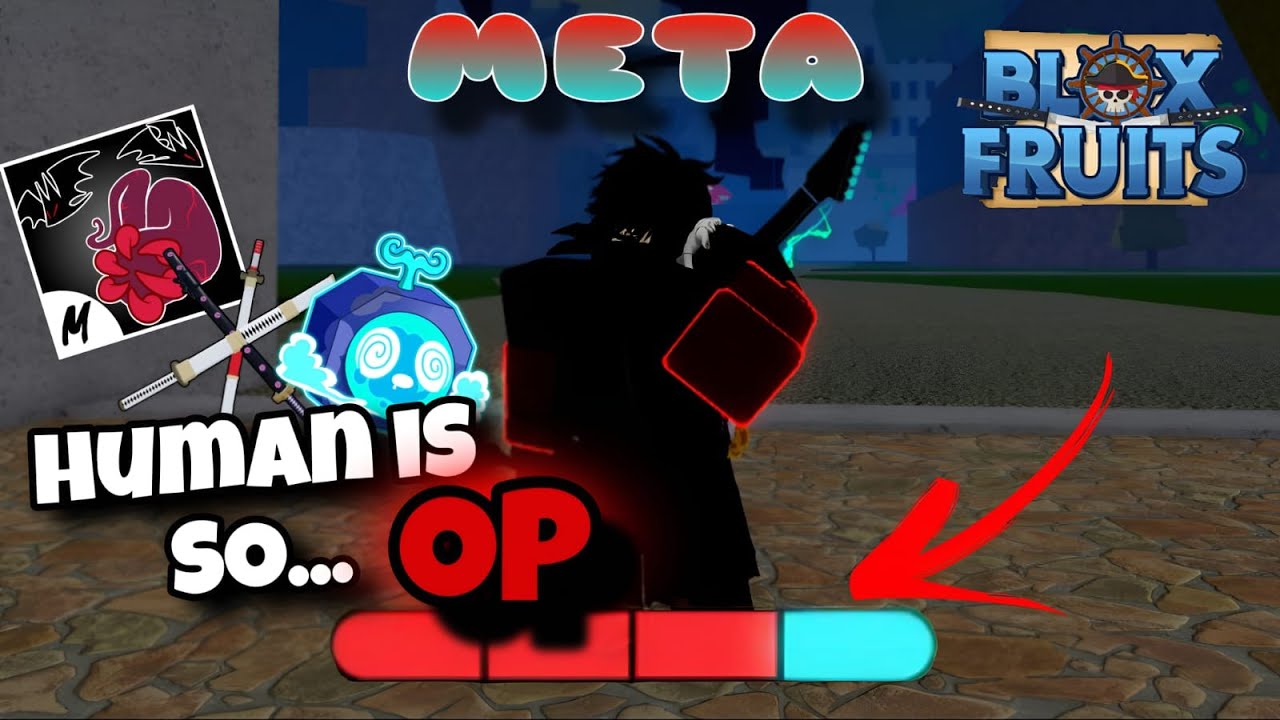 Bounty Hunting with Meta And Human V4 !! | Blox Fruits