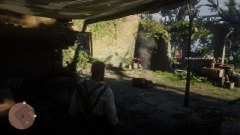 Red Dead Redemption 2 - Washed Up - MS Mission Part 2