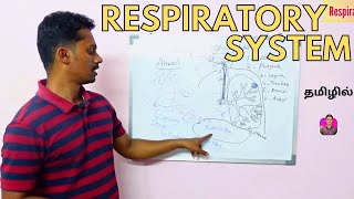 Anatomy and Physiology of Respiratory System | தமிழில்