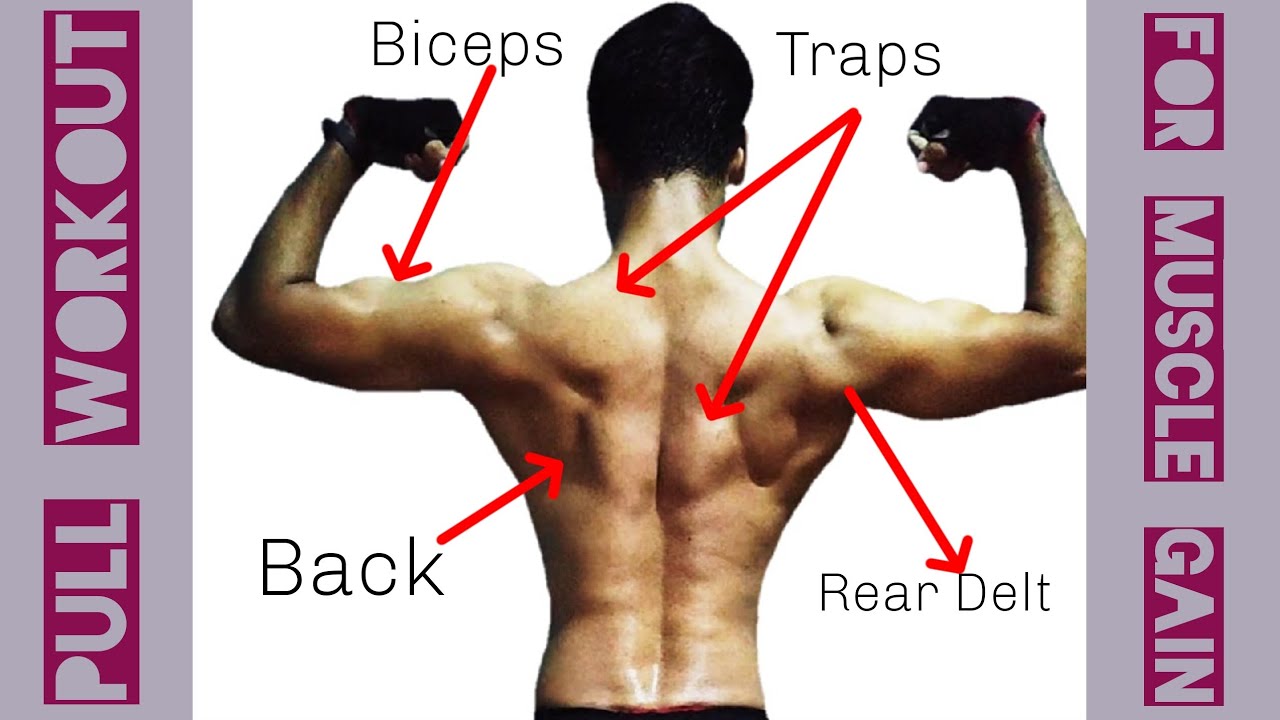 Unlock Your Best Physique A Complete Pull Workout 💪🏼 (Back, Biceps