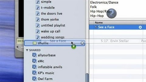 How To Download Specific Songs Into Your iPod Shuffle