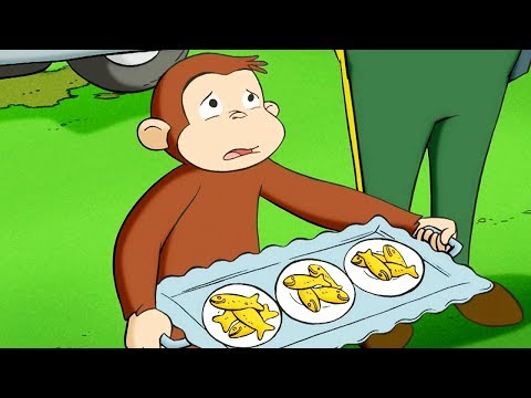 Curious George 🐵Surprise Quints 🐵Kids Cartoon 🐵Kids Movies 🐵Videos for Kids