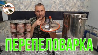 Такого вы еще не пробовали!! Готовим тушенку из перепелов.