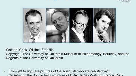 A  Unit 7 DNA Structure and Gene Function Part A