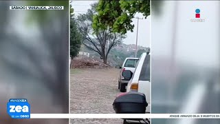 Enfrentamiento armado deja a tres civiles sin vida en Jalisco y Zacatecas | Noticias Francisco Zea