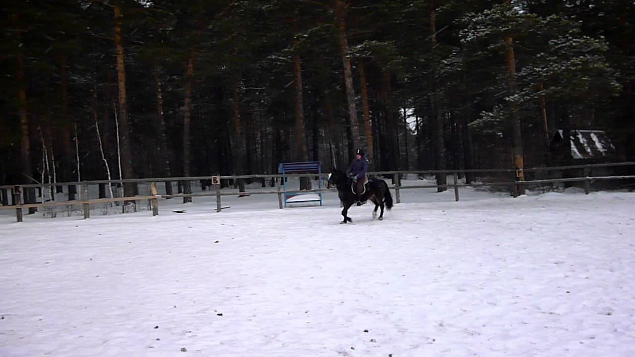 Рысь восьмёрка - YouTube