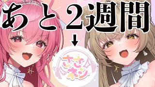 【雑談】ささネシ1歳まであと2週間切ってるって!?【リアイベありがとう】 #ささネシ #胡桃ふゅ #狐今あまね