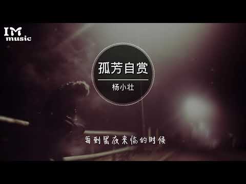 孤芳自賞