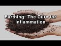 Earthing the cure for chronic inflammation  clinton ober