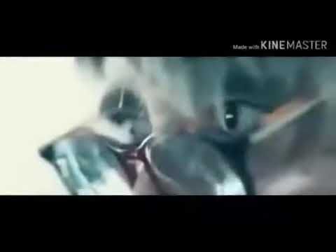 فيلم محمد حسين Full HD 