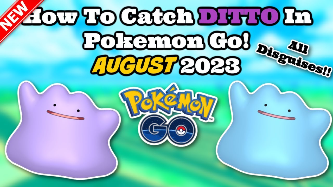 How To Catch A DITTO In AUGUST 2023 Pokemon Go! All Disguises & Tips! 
