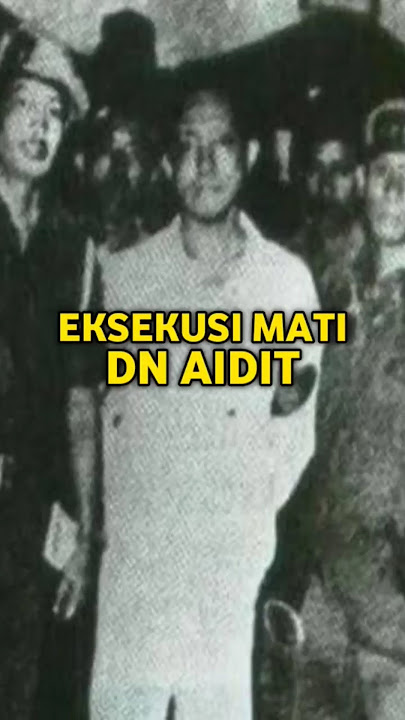 DETIK-DETIK PENANGKAPAN DAN EKSEKUSI DN AIDIT OLEH PASUKAN YASIR HADIBROTO