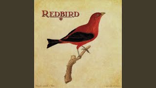 Video thumbnail of "Redbird - You Are the Everything"