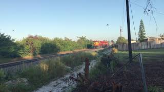 FEC TRAIN 109#538@7:47am
