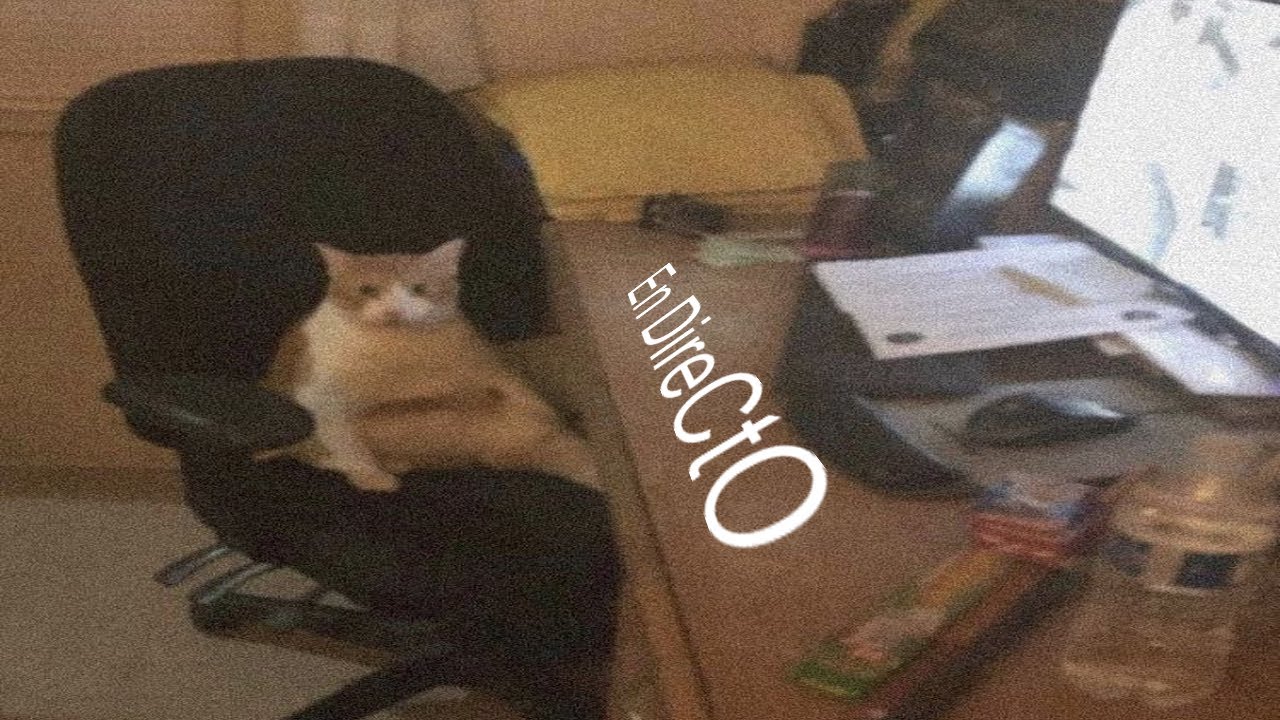 vamo a editar/diseñar