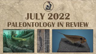 July 2022 Paleontology in Review
