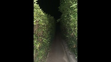 POV:💫Your lost🪐 #shorts #liminal #liminalspace #backrooms #dreams #nostalgic