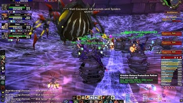 WoW Classic - vF vs Maexxna (Naxxramas 40)