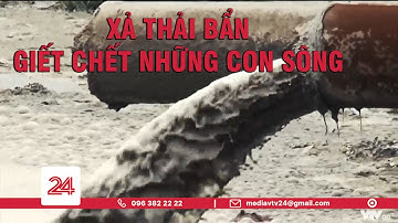 Tiêu Điểm: Xả thải bẩn đang giết chết những dòng sông  | VTV24
