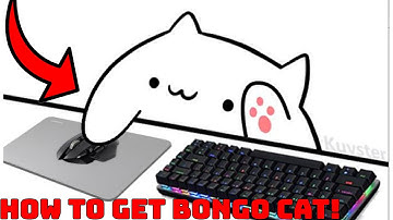 How to GET+SETUP BONGO CAT Webcam V2! (Obs&Streamlabs)