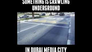 Something is crawling underground in Dubai Media City...